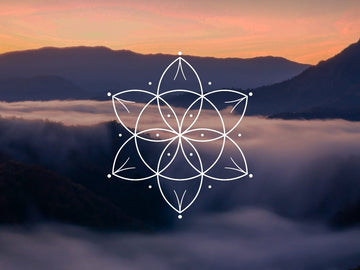 Energy Flow