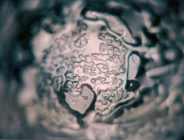 image comparison before